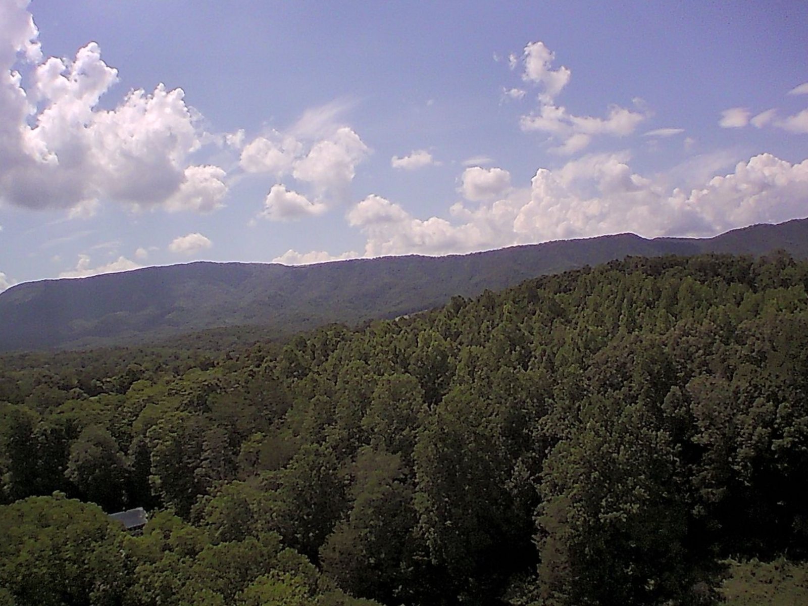 Aerial view over the wooded foothills toward the mountains