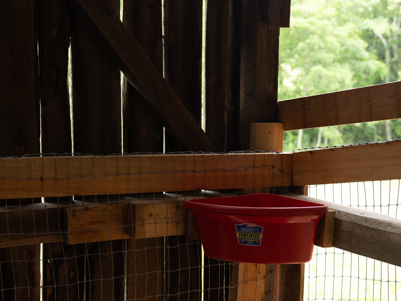 A red feed bucket hung in one of the barn stalls