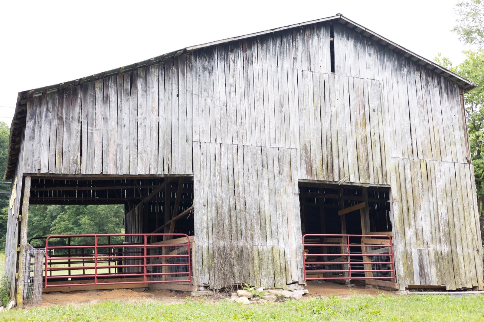 The old wooden barn, with red gates across its horse stalls